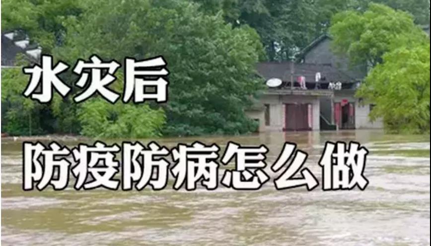 &#20048;&#40060;&#25163;&#26426;&#30331;&#24405;&#20837;&#21475;&#45;&#20048;&#40060;&#65288;&#20013;&#22269;&#65289;